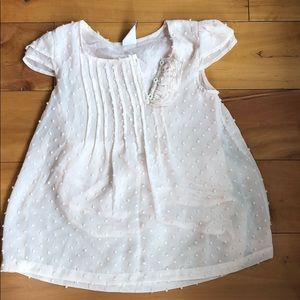 Matilda Jane blush top